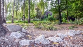 Kościół z ogrodem plebańskim w Szczepanowie - zdjęcie 5