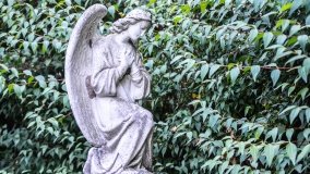 Kościół z ogrodem plebańskim w Szczepanowie - zdjęcie 6