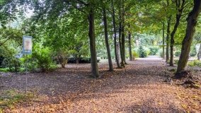 Kościół z ogrodem plebańskim w Szczepanowie - zdjęcie 7