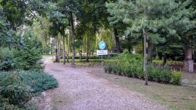 Kościół z ogrodem plebańskim w Szczepanowie - zdjęcie 9