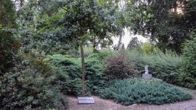 Kościół z ogrodem plebańskim w Szczepanowie - zdjęcie 11