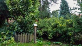 Kościół z ogrodem plebańskim w Szczepanowie - zdjęcie 14