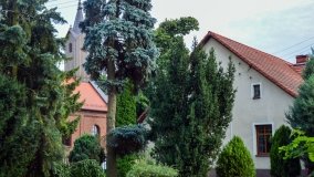 Kościół z ogrodem plebańskim w Szczepanowie - zdjęcie 15