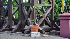 Kościół z ogrodem plebańskim w Szczepanowie - zdjęcie 20