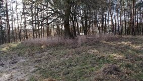 Psia Górka i jej sakralna tajemnica - zdjęcie 8