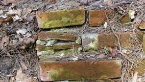 Psia Górka i jej sakralna tajemnica - zdjęcie 11