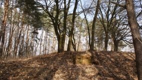 Psia Górka i jej sakralna tajemnica - zdjęcie 13