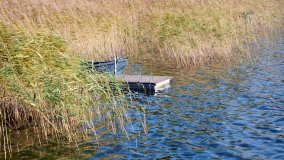 Perełka pogranicza w Laskowie - zdjęcie 18