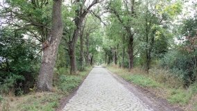 Historia ośmiobocznej kapliczki w Wojnowie - zdjęcie 6