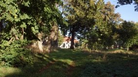 Matka Boża z Siernik... w ostoi leśnej - zdjęcie 2