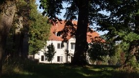 Matka Boża z Siernik... w ostoi leśnej - zdjęcie 4