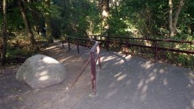 Matka Boża z Siernik... w ostoi leśnej - zdjęcie 5