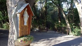 Matka Boża z Siernik... w ostoi leśnej - zdjęcie 6