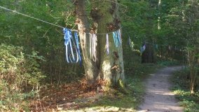 Matka Boża z Siernik... w ostoi leśnej - zdjęcie 8