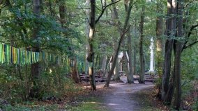 Matka Boża z Siernik... w ostoi leśnej - zdjęcie 12