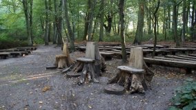 Matka Boża z Siernik... w ostoi leśnej - zdjęcie 14