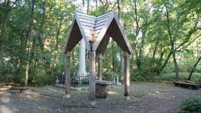 Matka Boża z Siernik... w ostoi leśnej - zdjęcie 15