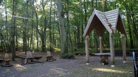 Matka Boża z Siernik... w ostoi leśnej - zdjęcie 16