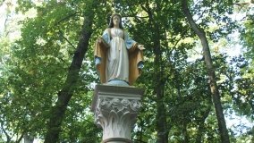 Matka Boża z Siernik... w ostoi leśnej - zdjęcie 17