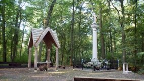 Matka Boża z Siernik... w ostoi leśnej - zdjęcie 21