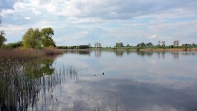 Jezioro Kłeckie - zdjęcie 11