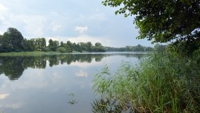 Jezioro Dziadkowskie - zdjęcie 7