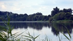 Jezioro Dziadkowskie - zdjęcie 14