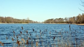 Jezioro Dziadkowskie - zdjęcie 15