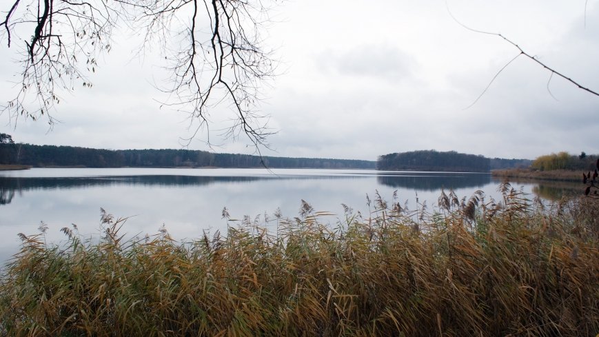 Odkrywamy Jezioro Kowalskie - zdjęcie 1