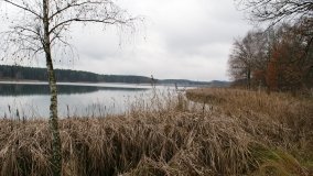 Odkrywamy Jezioro Kowalskie - zdjęcie 6