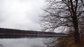 Odkrywamy Jezioro Kowalskie - zdjęcie 7