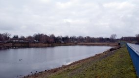 Odkrywamy Jezioro Kowalskie - zdjęcie 8