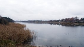 Odkrywamy Jezioro Kowalskie - zdjęcie 9