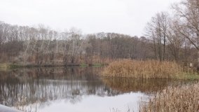 Odkrywamy Jezioro Kowalskie - zdjęcie 12