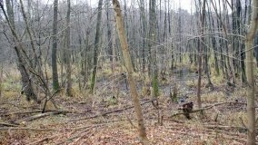 Odkrywamy Jezioro Kowalskie - zdjęcie 15