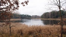 Odkrywamy Jezioro Kowalskie - zdjęcie 16