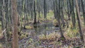 Odkrywamy Jezioro Kowalskie - zdjęcie 17