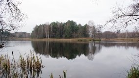 Odkrywamy Jezioro Kowalskie - zdjęcie 18