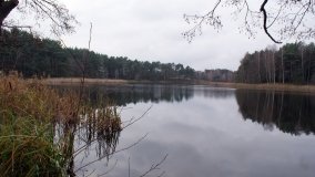 Odkrywamy Jezioro Kowalskie - zdjęcie 20