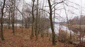 Odkrywamy Jezioro Kowalskie - zdjęcie 24