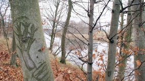 Odkrywamy Jezioro Kowalskie - zdjęcie 25