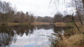 Odkrywamy Jezioro Kowalskie - zdjęcie 28