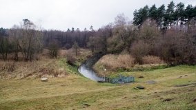 Odkrywamy Jezioro Kowalskie - zdjęcie 35