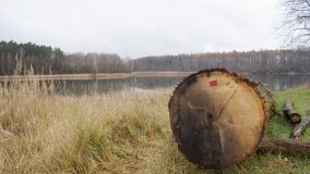 Odkrywamy Jezioro Kowalskie - zdjęcie 36