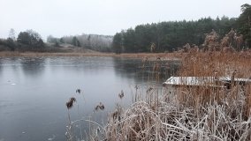 Tajemnicze jezioro Biskupice Prawe - zdjęcie 4
