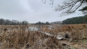 Tajemnicze jezioro Biskupice Prawe - zdjęcie 5