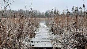 Tajemnicze jezioro Biskupice Prawe - zdjęcie 7