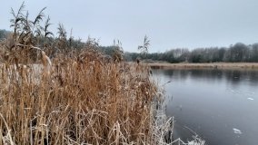 Tajemnicze jezioro Biskupice Prawe - zdjęcie 8