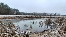 Tajemnicze jezioro Biskupice Prawe - zdjęcie 9