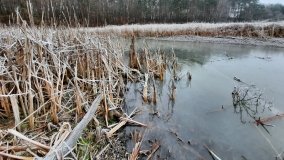 Tajemnicze jezioro Biskupice Prawe - zdjęcie 10